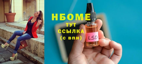 ECSTASY Алзамай
