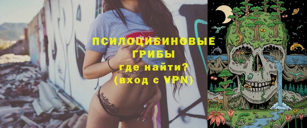 ECSTASY Алзамай