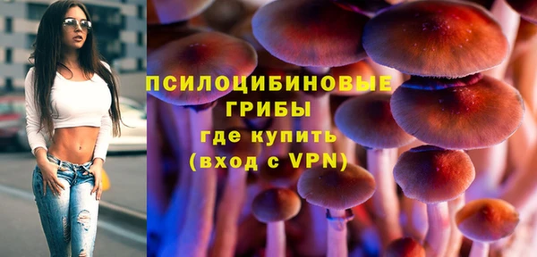 ECSTASY Алзамай